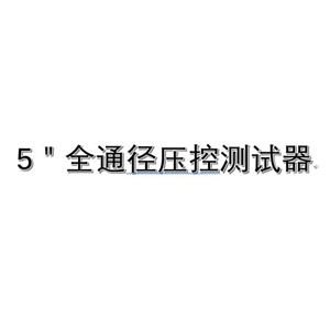 5"全通徑壓控測(cè)試閥
